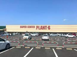 PLANT-6(プラント) 瑞穂店の画像1