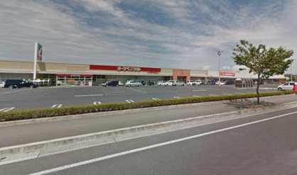 ヨークタウン老野森の画像1