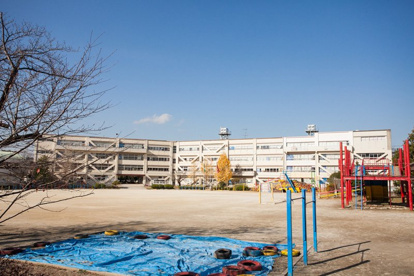 八ヶ崎小学校の画像1