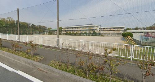 の画像