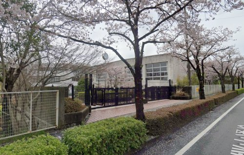 の画像
