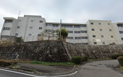 の画像
