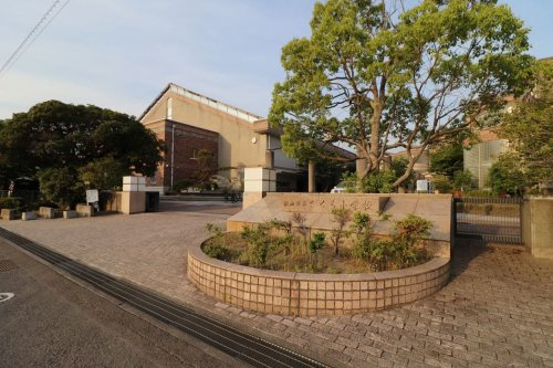 の画像