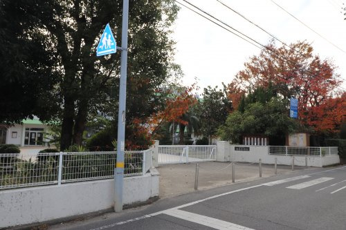 の画像