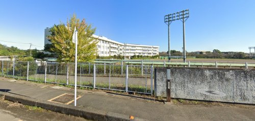 の画像
