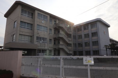 の画像