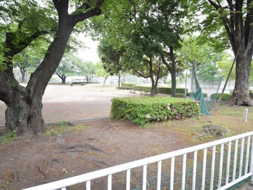 三山公園の画像