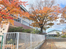 山形市立西小学校