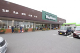ビッグハウスみどりの店
