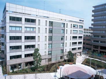 北里大学薬学部