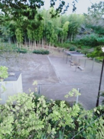 新井町公園の画像1