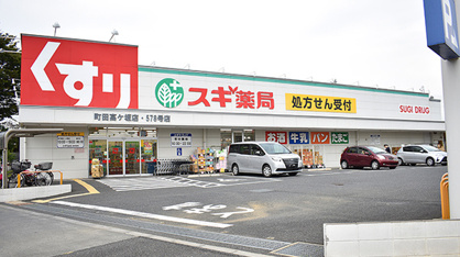 スギの画像1