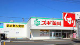 スギドラッグ 栄生店