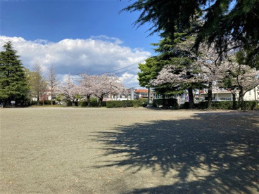 高村公園の画像1