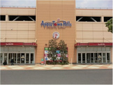 Ayase Town Hills Shopping Center(綾瀬タウンヒルズショッピングセンター)