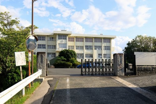 の画像