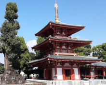 寺院・神社 宝仙寺三重塔