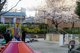 駒込公園の画像