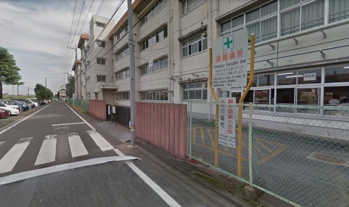 の画像
