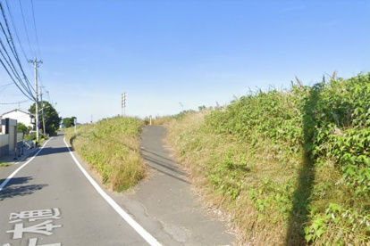 桂川 堤防（横大路長畑町周辺）の画像1