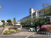 新浅香山小学校
