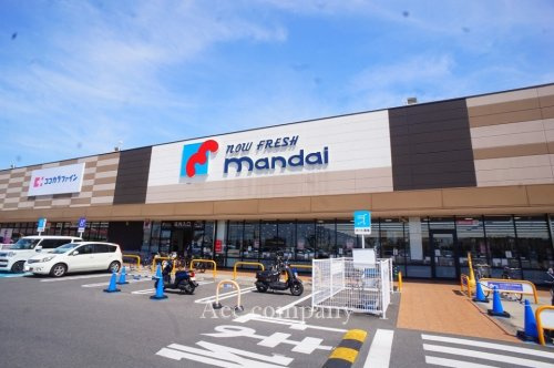 の画像