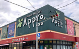 食品館アプロ たつみ店