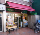 ローソンストア100 LS朝霞東弁財一丁目店