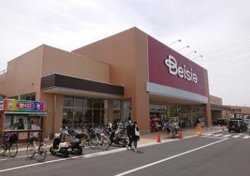 Beisia(ベイシア) 新座店の画像1