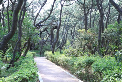 茅ヶ崎海岸しおさいの森の画像1