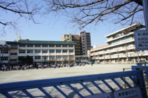 川口市立 幸町小学校