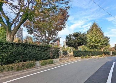 雑司ケ谷霊園の画像2
