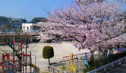ちよがおか幼稚園の画像1