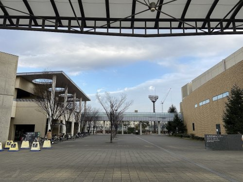 の画像