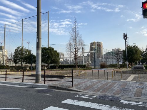 の画像