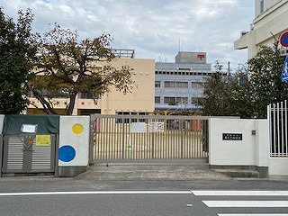 の画像