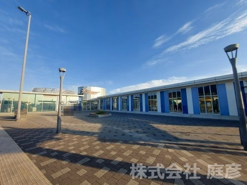 の画像
