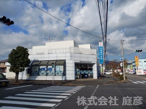の画像