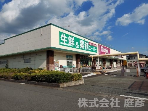 の画像