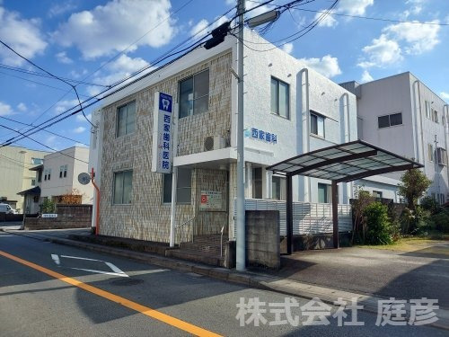 の画像