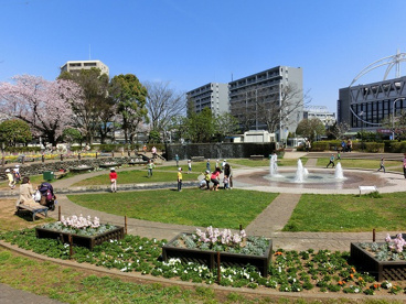 天沼公園の画像1