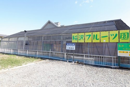の画像