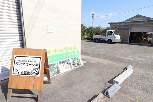 の画像