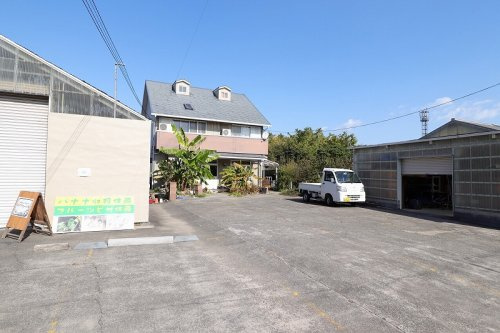 の画像