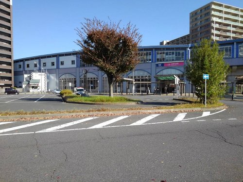 の画像