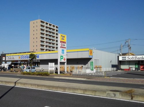 の画像