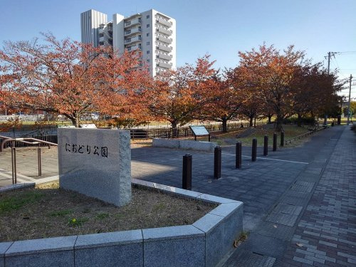 の画像