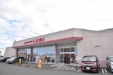 しまむら野上店