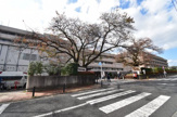 青梅市立総合病院