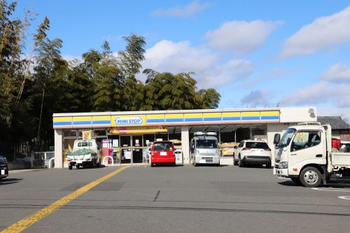 の画像